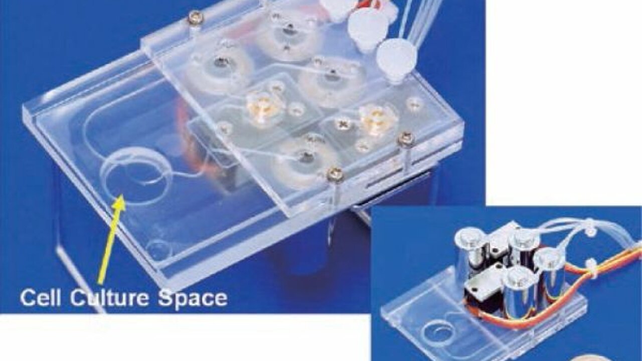 All-In-One disposable PDMS chip