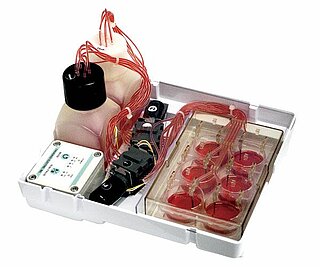 Sistemi di coltura cellulare